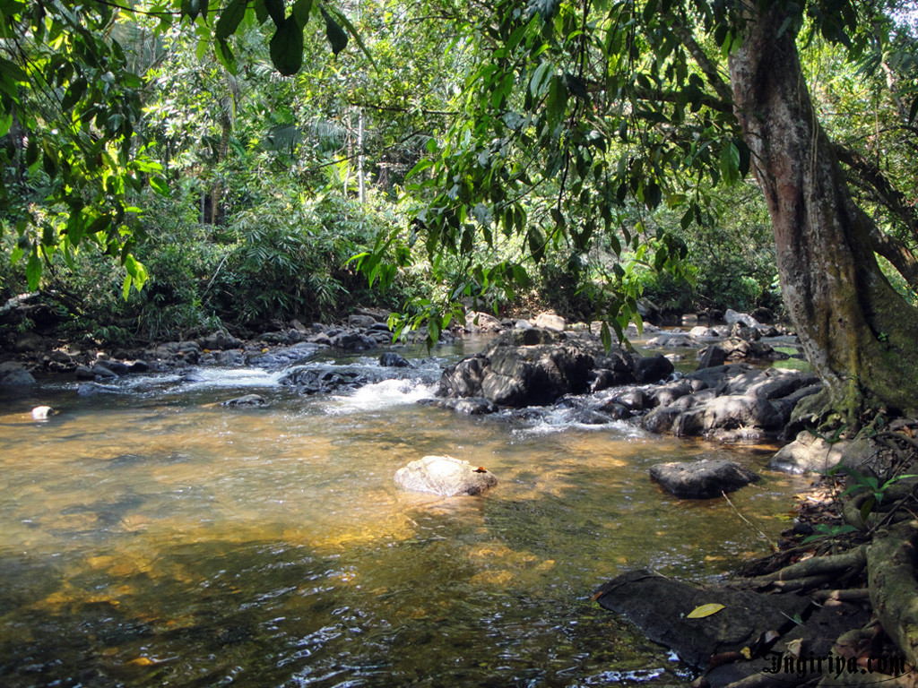 Natural Stream